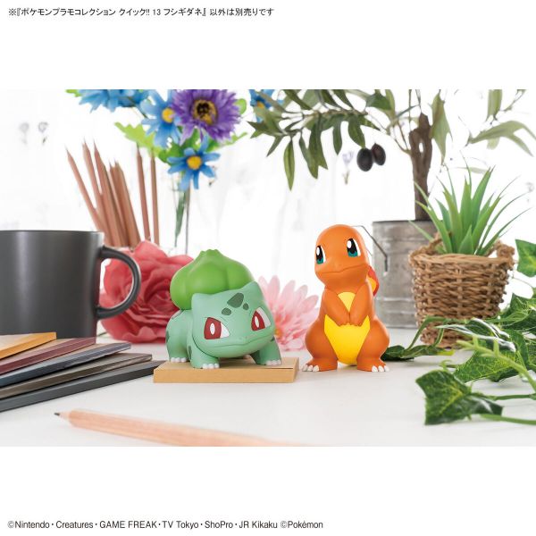 BANDAI 精靈寶可夢 神奇寶貝 Pokemon PLAMO 快組系列 013 妙蛙種子 組裝模型 BANDAI,精靈寶可夢,神奇寶貝,Pokemon,PLAMO,快組系列,013,妙蛙種子,組裝模型,