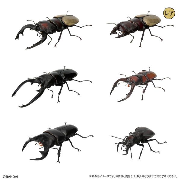 (預購) BANDAI 扭蛋 生物大圖鑑 鍬形蟲12 附樹皮台座(小) 全6種 一套6入販售 20260302 BANDAI 扭蛋 生物大圖鑑 鍬形蟲12 附樹皮台座(小) 全6種 一套6入販售