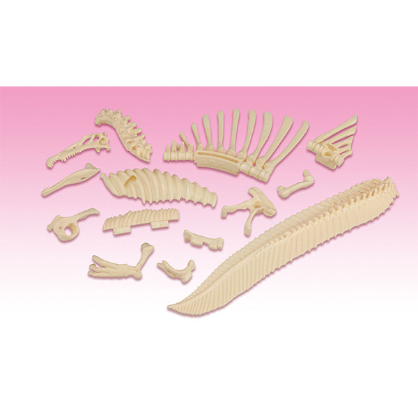 MegaHouse 自然科學系列 棘龍 趣味拼圖 MegaHouse 自然科學系列 棘龍 趣味拼圖