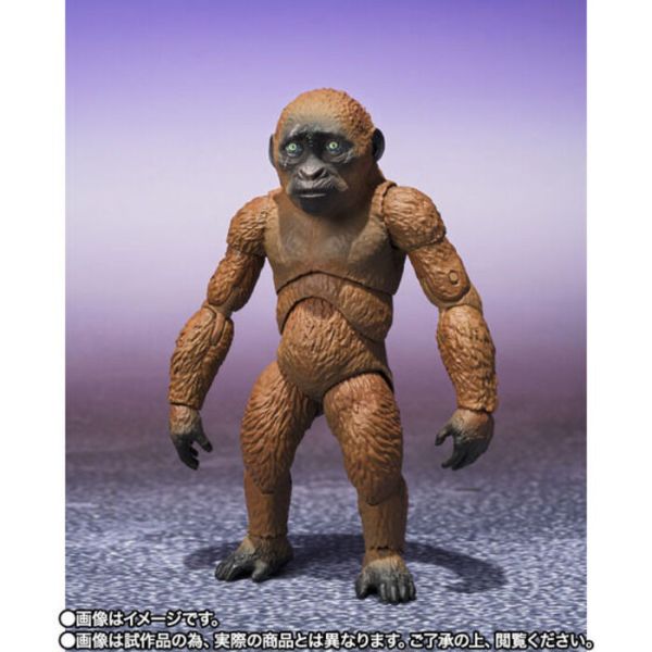 BANDAI S.H.MonsterArts SHM 哥吉拉與金剛 新帝國 小酷&摩斯拉 可動完成品 BANDAI S.H.MonsterArts SHM 哥吉拉與金剛 新帝國 小酷&摩斯拉 可動完成品
