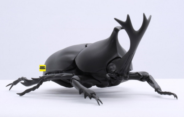 (預購) FUJIMI 富士美 自由研究 021 生物編 獨角仙 組裝模型 20250925 (預購) FUJIMI 富士美 自由研究 021 生物編 獨角仙 組裝模型 20250925