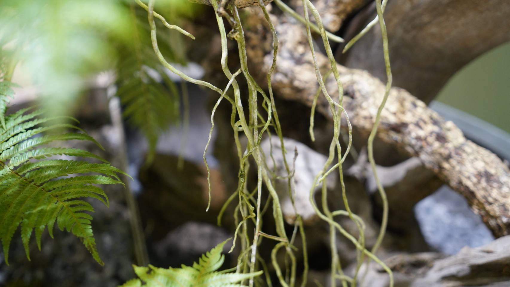 檜山坊台南直營門市(MITSUI OUTLET PARK 台南)