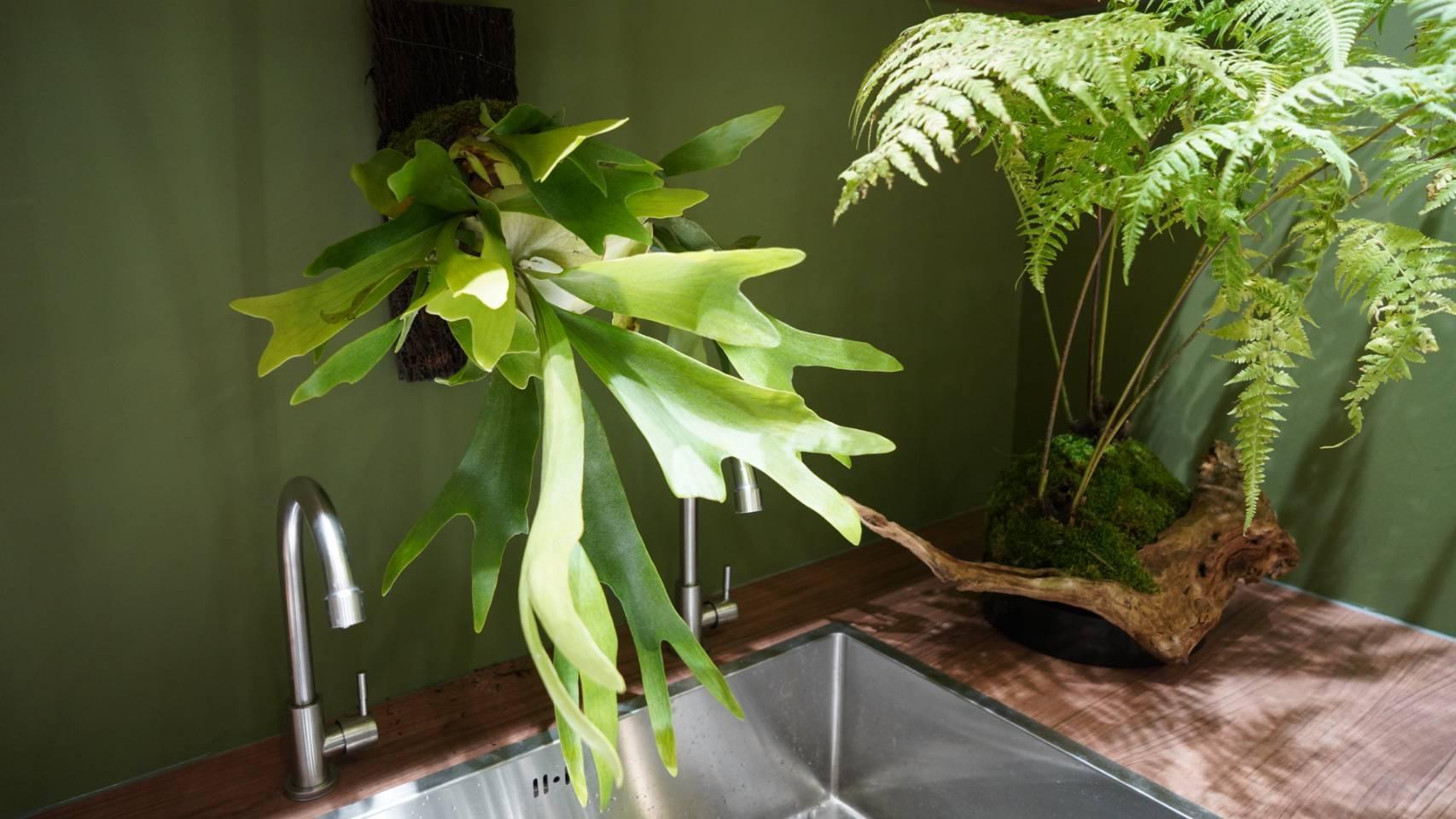 檜山坊台南直營門市(MITSUI OUTLET PARK 台南)