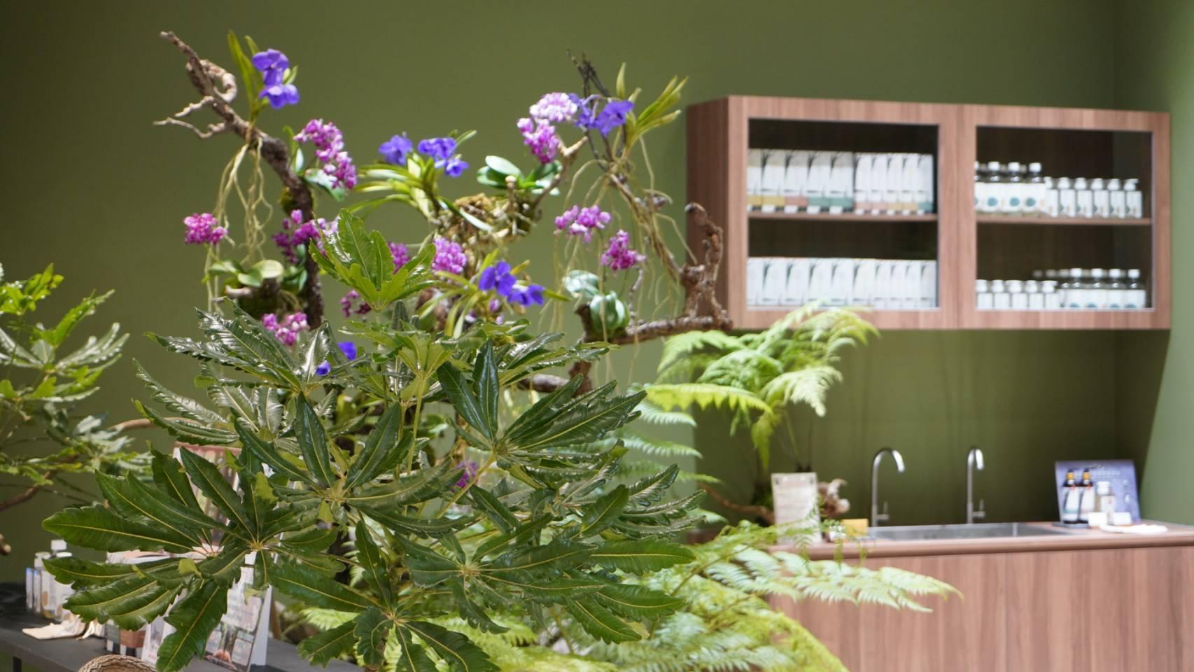 檜山坊台南直營門市(MITSUI OUTLET PARK 台南)