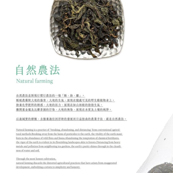 【滿額贈】五感體驗森林療癒面膜 (乙片)+佳葉龍茶兩入 抗老面膜,精油面膜,檜木精油,保濕面膜,專櫃面膜,美白面膜