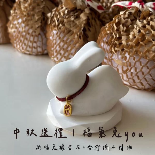 Eco-friendly Bat Nut Biochar Aroma Stone + Hinoki Essential Oil /2ml 擴香石,天然擴香,中秋節禮物,中秋兔子,中秋節贈禮,香氛禮物,檜木精油,環保香氛,牡蠣殼再生,永續設計,天然香氛,擴香夾,台灣檜木,植物精油,無毒香氛,自然療癒,車內空氣淨化,手作禮物,小資禮物,森林系香氛,永續生活