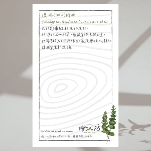 【試香-香氛書籤卡】澳洲尤加利精油 檜木,尤加利,香氛,擴香,精油,旅遊,出國,澳洲,袋鼠,無尾熊,上班族,辦公室,送禮,禮物,生日禮物,畢業禮物,七夕,情人節,男 禮物,爸爸 禮物,旅行團,防疫,失眠,舒壓,學生,車用擴香,擴香儀,無水擴香,調香,芳香療法