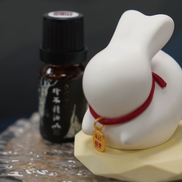 Eco-friendly Bat Nut Biochar Aroma Stone + Hinoki Essential Oil /2ml 擴香石,天然擴香,中秋節禮物,中秋兔子,中秋節贈禮,香氛禮物,檜木精油,環保香氛,牡蠣殼再生,永續設計,天然香氛,擴香夾,台灣檜木,植物精油,無毒香氛,自然療癒,車內空氣淨化,手作禮物,小資禮物,森林系香氛,永續生活