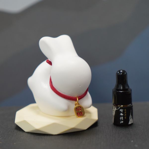 Eco-friendly Bat Nut Biochar Aroma Stone + Hinoki Essential Oil /2ml 擴香石,天然擴香,中秋節禮物,中秋兔子,中秋節贈禮,香氛禮物,檜木精油,環保香氛,牡蠣殼再生,永續設計,天然香氛,擴香夾,台灣檜木,植物精油,無毒香氛,自然療癒,車內空氣淨化,手作禮物,小資禮物,森林系香氛,永續生活