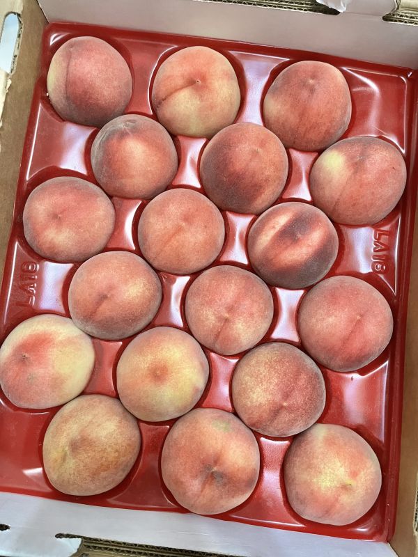 桃仙子水蜜桃 