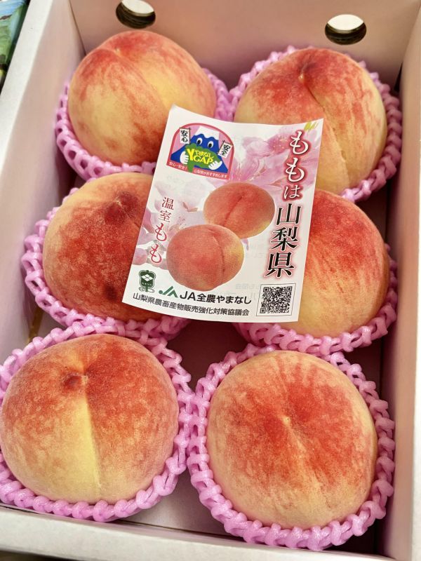 山梨縣溫室水蜜桃 