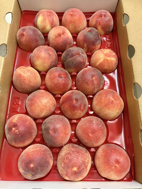 桃仙子水蜜桃 