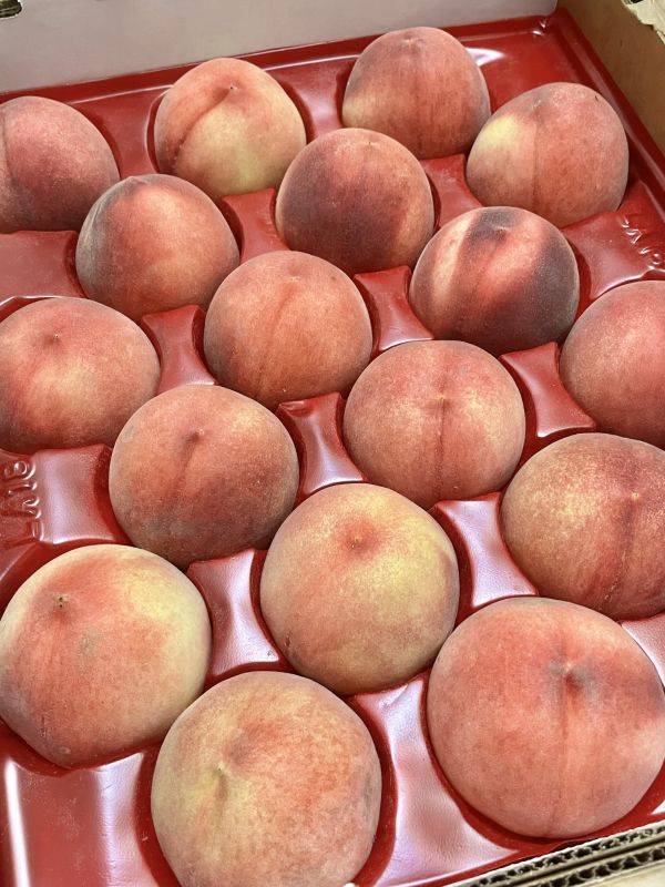 桃仙子水蜜桃 