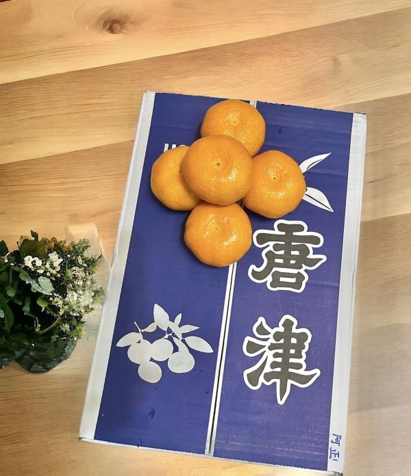 唐津蜜柑 