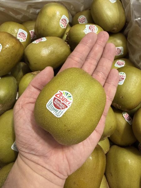 紐西蘭紅寶石奇異果 