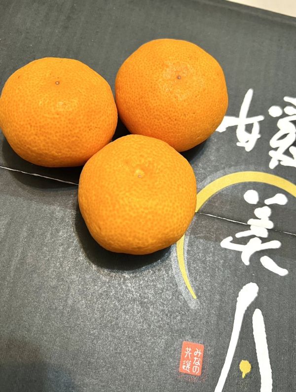 愛媛縣媛美月蜜柑 
