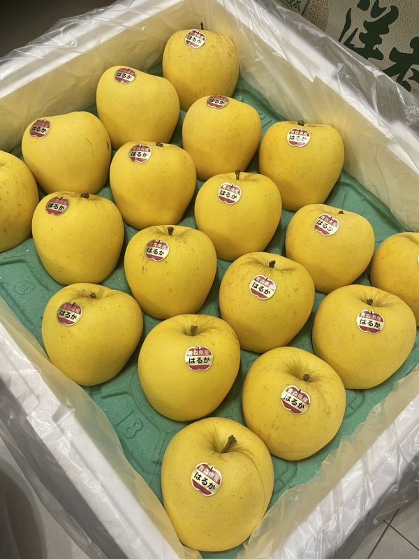 青森冬戀蜜蘋果 