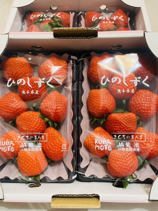 熊本菊池小糖蜜草莓 