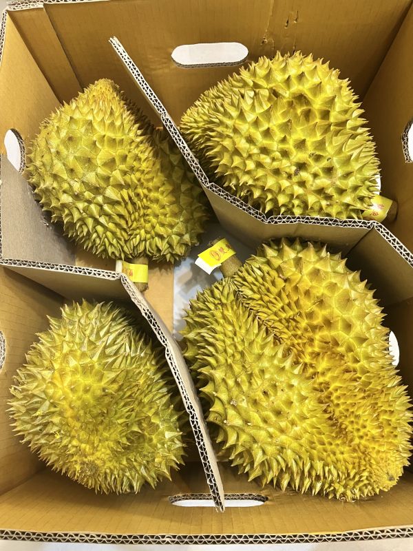 雙魚金枕頭榴蓮 