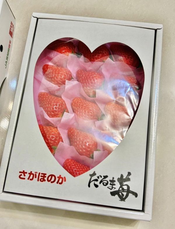 高知精品達摩草莓 