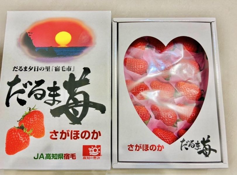 高知精品達摩草莓 