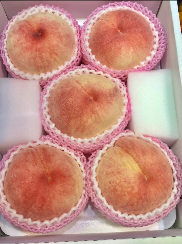 春日居水蜜桃 