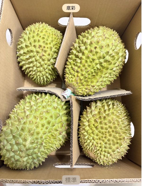 越南貓山王榴蓮 