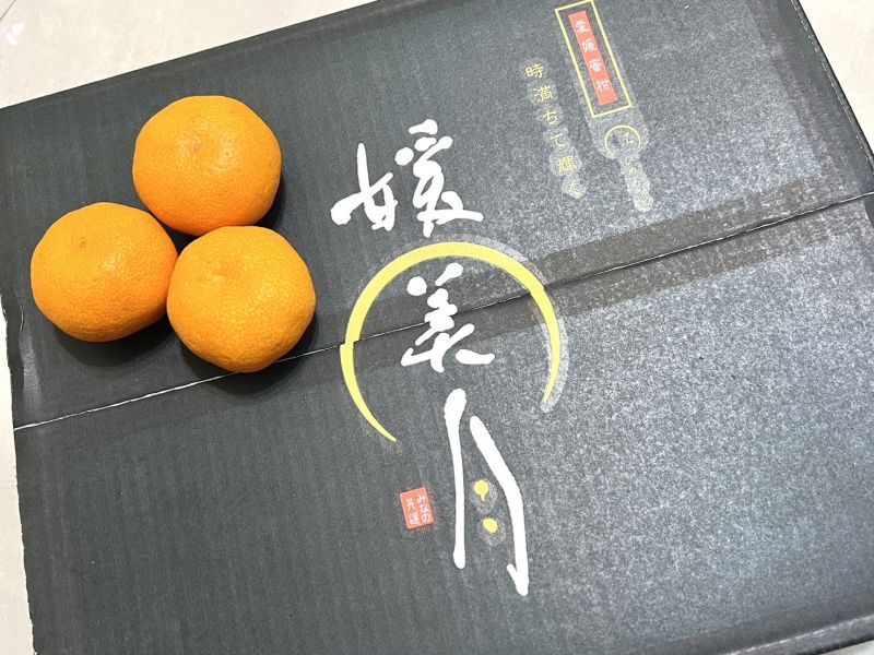 愛媛縣媛美月蜜柑 