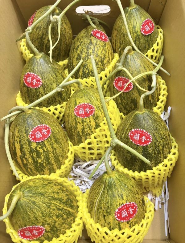 蘭香哈密瓜 
