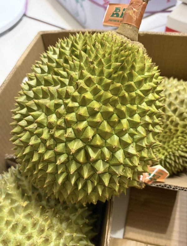 越南貓山王榴蓮 