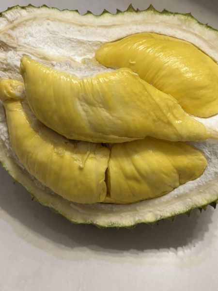 越南貓山王榴蓮 