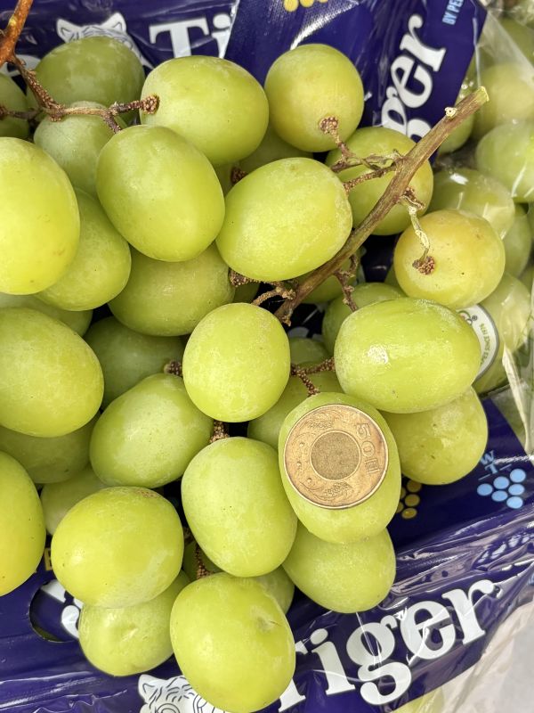 秘魯秋脆葡萄 