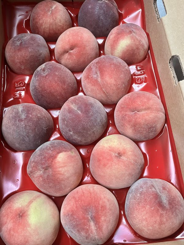 桃仙子水蜜桃 