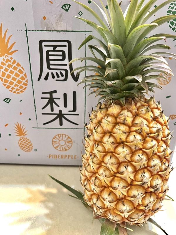 黑糖金鑽鳳梨 