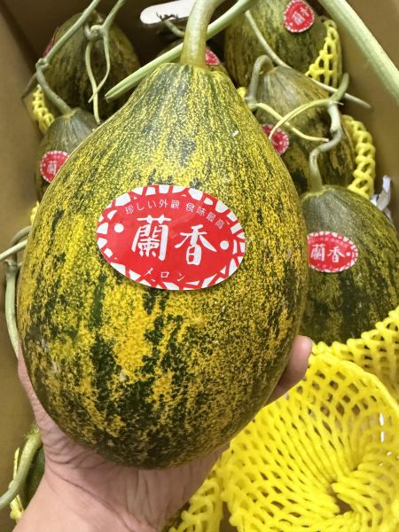 蘭香哈密瓜 