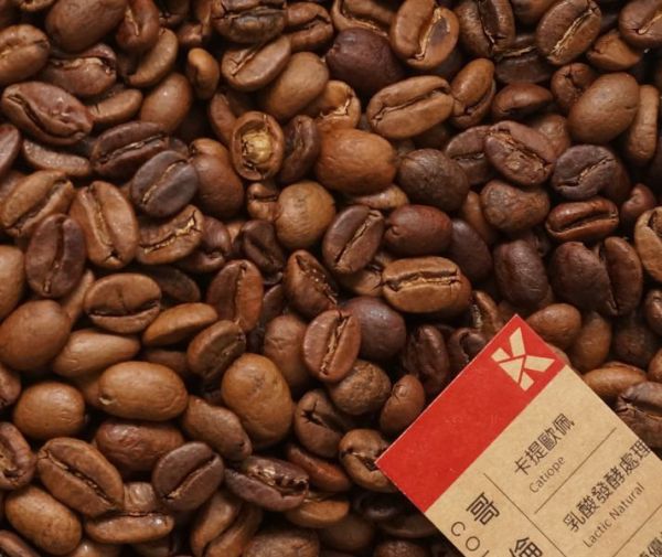 【本季限量精選單品】哥倫比亞 藝伎種 | 咖啡熟豆 