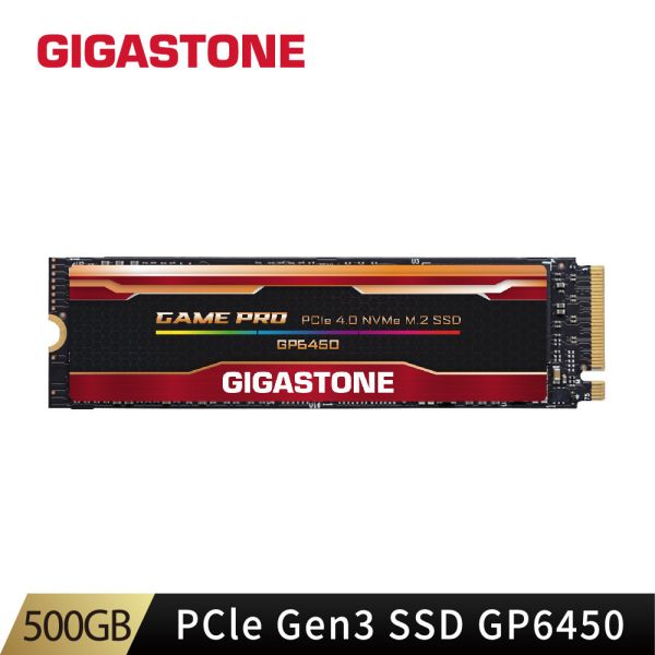 PCle Gen3 SSD GP6450 500GB PCle Gen3 SSD GP6450 500GB