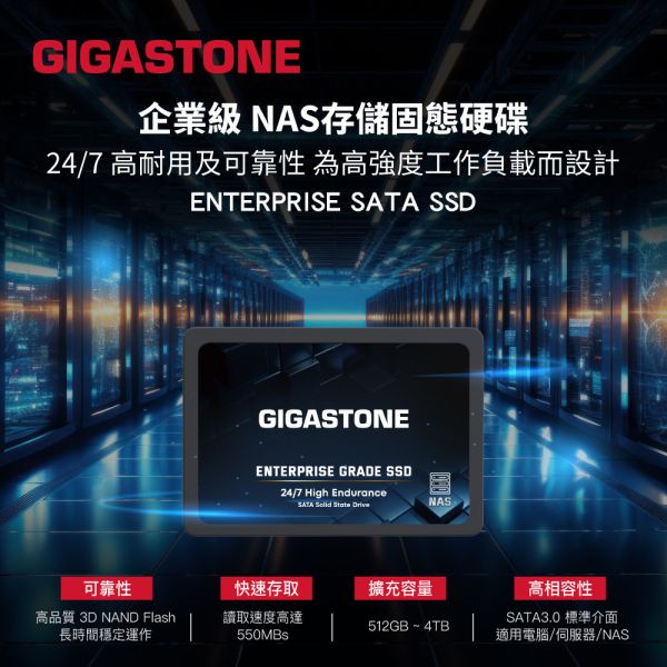 GIGASTONE 高耐用固態硬碟 HIGH ENDURANCE NAS 內接式 SSD 2.5吋 SATA GIGASTONE 高耐用固態硬碟 HIGH ENDURANCE NAS 內接式 SSD 2.5吋 SATA｜4TB/2TB/1TB/512GB 最高550MB/s