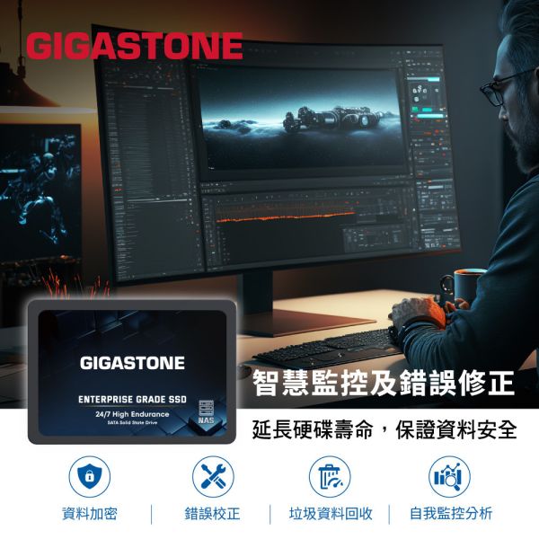 GIGASTONE 高耐用固態硬碟 HIGH ENDURANCE NAS 內接式 SSD 2.5吋 SATA GIGASTONE 高耐用固態硬碟 HIGH ENDURANCE NAS 內接式 SSD 2.5吋 SATA｜4TB/2TB/1TB/512GB 最高550MB/s