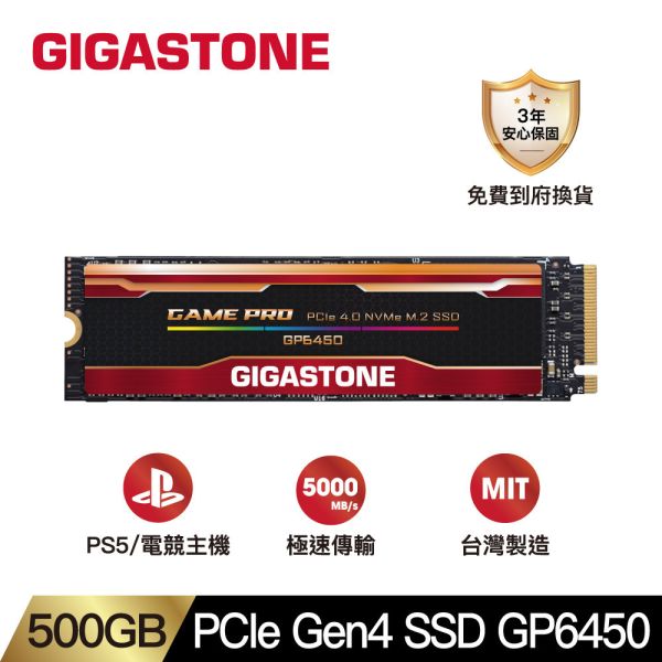 PCle Gen3 SSD GP6450 500GB PCle Gen3 SSD GP6450 500GB