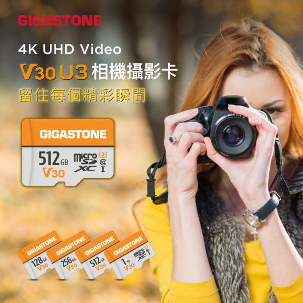 GIGASTONE 通用記憶卡 V30 U3 C10 microSD UHS-I｜五年保固，適用 數位相機，兒童相機，手機、相機，平板，附SD轉卡 GIGASTONE 通用記憶卡 V30 U3 C10 microSD UHS-I 1TB/512GB/256GB｜五年保固,適用 數位相機,兒童相機,手機、相機,平板,附SD轉卡
