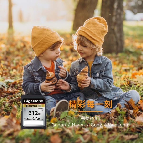 GIGASTONE 4K 攝影高速記憶卡 Camera Pro A1 V30 U3 SD UHS-I｜五年保固，適用單眼相機/攝錄影機專用 GIGASTONE 4K 攝影高速記憶卡 Camera Pro A1 V30 U3 SD UHS-I 512GB/256GB/128GB/64GB｜五年保固,適用單眼相機/攝錄影機專用