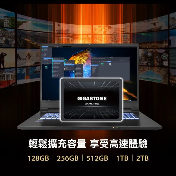 GIGASTONE 遊戲固態硬碟 GAME PRO 內接式 SSD 2.5吋 SATA｜480GB ~ 1TB 最高540MB/s GIGASTONE 遊戲固態硬碟 GAME PRO 內接式 SSD 2.5吋 SATA｜4TB/2TB/1TB/960GB/512GB/480GB/256GB/240GB/128GB/120GB