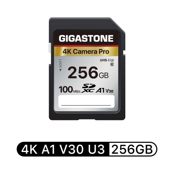 4K攝影SD記憶卡 UHS-I 1A U3 V30 Gigastone,64GB,SDXC,SD,UHS-I,U3,A1V30,4K記憶卡,64G,單眼相機,攝錄影機,專用記憶卡4K,高畫質錄影,防水,防震,防X光,傳輸速度,100MB/s