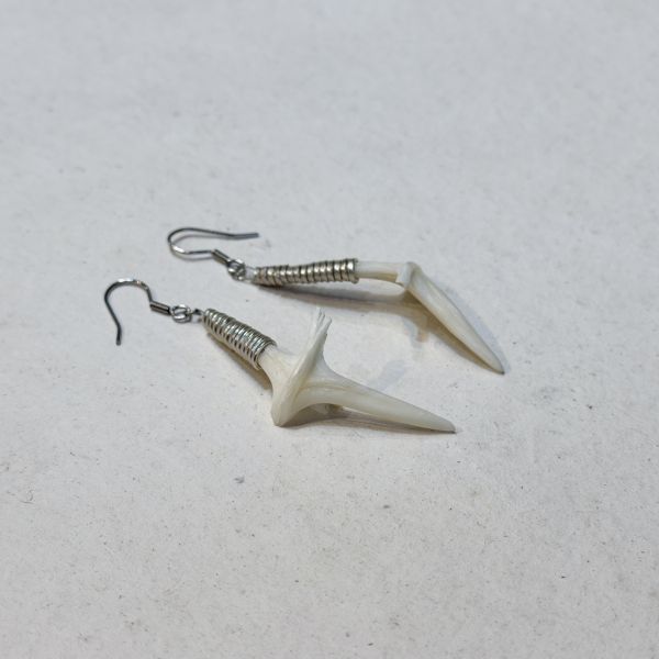 【藍珊瑚】密斑二齒魨魚骨耳環 密斑二齒魨魚骨,耳環,海洋廢物,魚骨,骨頭,藍珊瑚,珊瑚,不鏽鋼