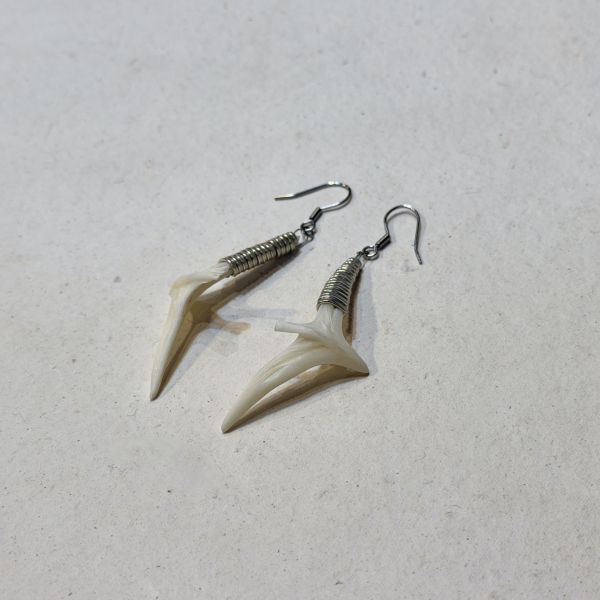 【藍珊瑚】密斑二齒魨魚骨耳環 密斑二齒魨魚骨,耳環,海洋廢物,魚骨,骨頭,藍珊瑚,珊瑚,不鏽鋼