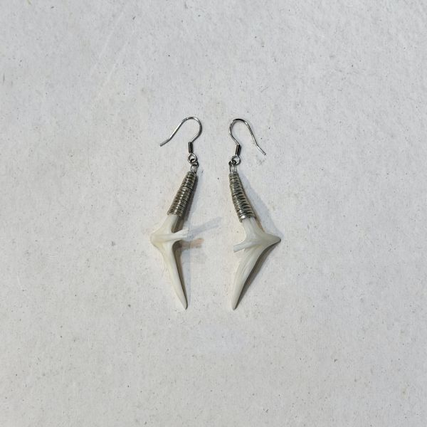 【藍珊瑚】密斑二齒魨魚骨耳環 密斑二齒魨魚骨,耳環,海洋廢物,魚骨,骨頭,藍珊瑚,珊瑚,不鏽鋼