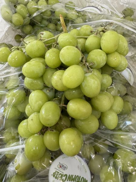 智利脆甜-秋翠綠葡萄700G 