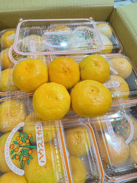 日本和歌山-盒裝蜜柑5顆裝（約400g) 