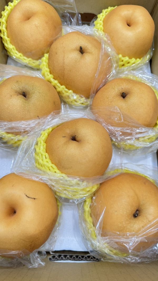 梨山-18A雪梨3入(單顆約650g) 